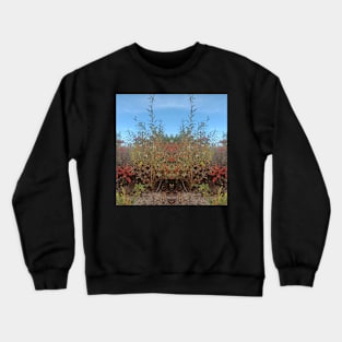 122M, Colorful Abstract Nature Zen Unique Original Contemporary Crewneck Sweatshirt